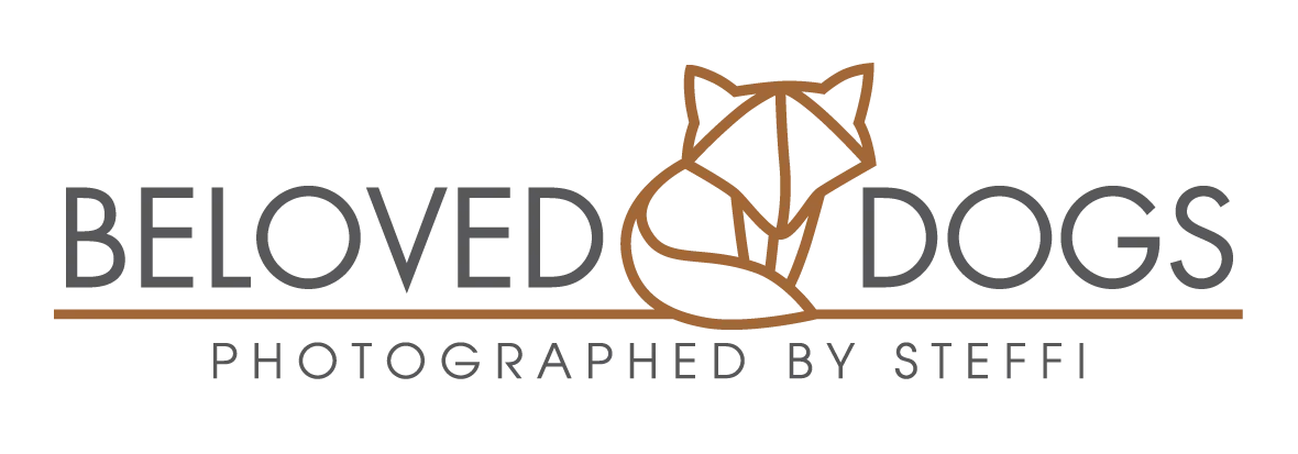 Beloved Dogs